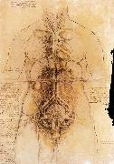 LEONARDO da Vinci The organs of the woman oil painting on canvas